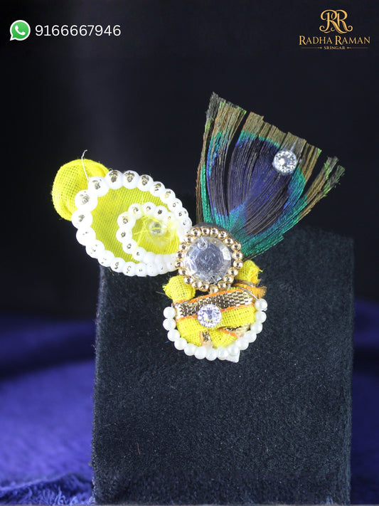 Laddu gopal phagun paag