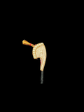 Nagfani Moti Katra – Elegant Pearl Shringar for Thakur Ji
