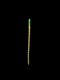 Divine Lakuti for Thakur Ji 15.5 CM