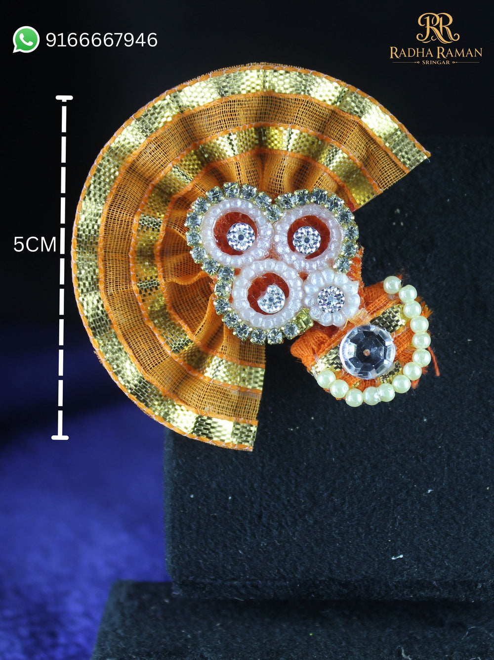 Radha raman paag holi special