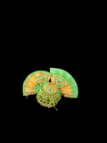 AD Khule Jod Paag – Premium Traditional Shringar for Thakur Ji