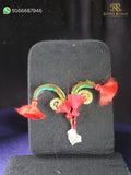 laddu gopal dohra katra holi special