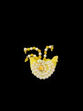 Moti Paag – Elegant Pearl Shringar for Thakur Ji
