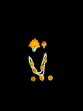 Real Seep Jewellery for Thakur Ji – Summer Special Natural Shell Shringar Set | 5 cm